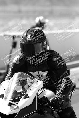 media/Mar-08-2025-TrackXperience (Sat) [[277b597a28]]/1-Around the Pits - Pre Grid/